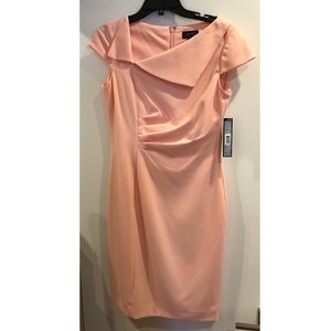 Tahari Blush Pink Dress